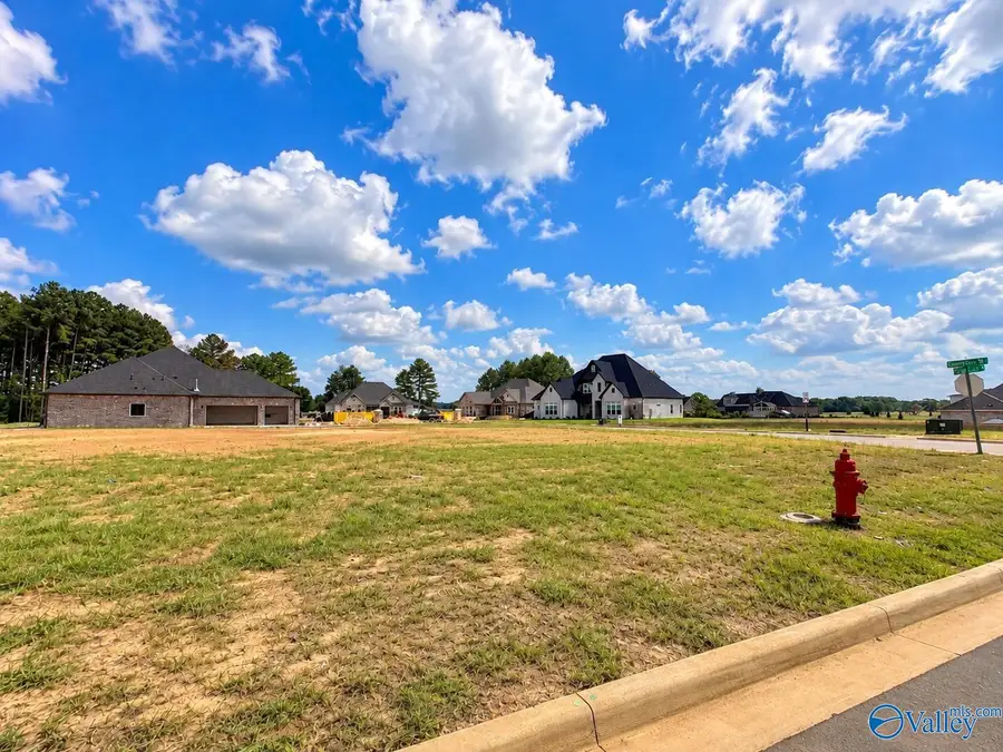 256 Spyglass Lane, Athens, AL 35613 - #2