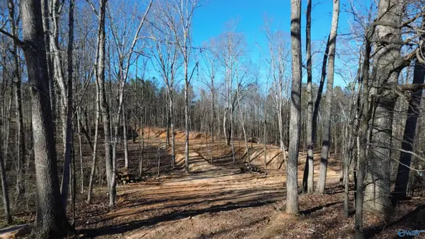 316 Skyhaven Drive, Boaz, AL 35957