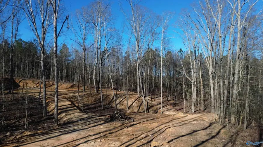 316 Skyhaven Drive, Boaz, AL 35957 - Image #2