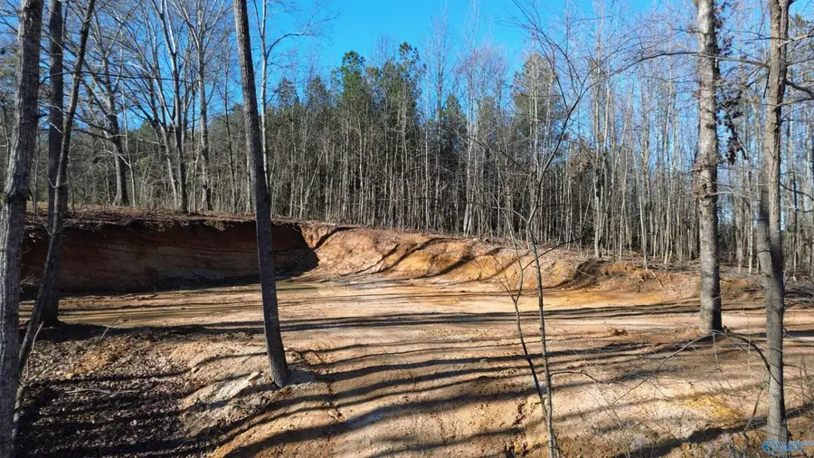 316 Skyhaven Drive, Boaz, AL 35957 - Image #3