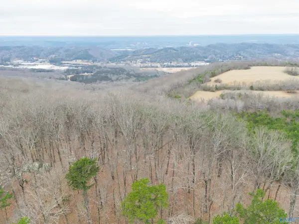 2.25 acres Dogtown Road, Fort Payne, AL 35967