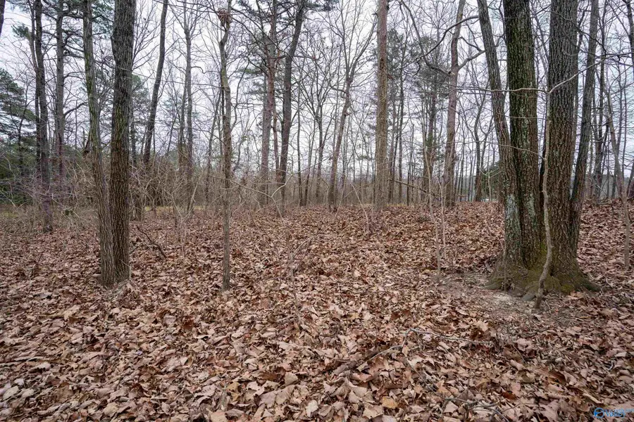 2.25 acres Dogtown Road, Fort Payne, AL 35967 - Image #2