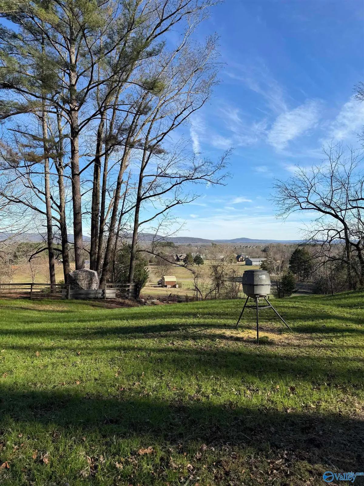 226 Walter Bird Drive, Owens Cross Roads, AL 35763 - #1