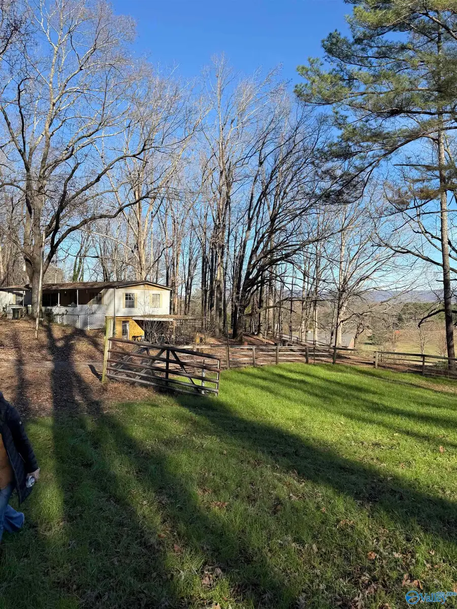 226 Walter Bird Drive, Owens Cross Roads, AL 35763 - #3