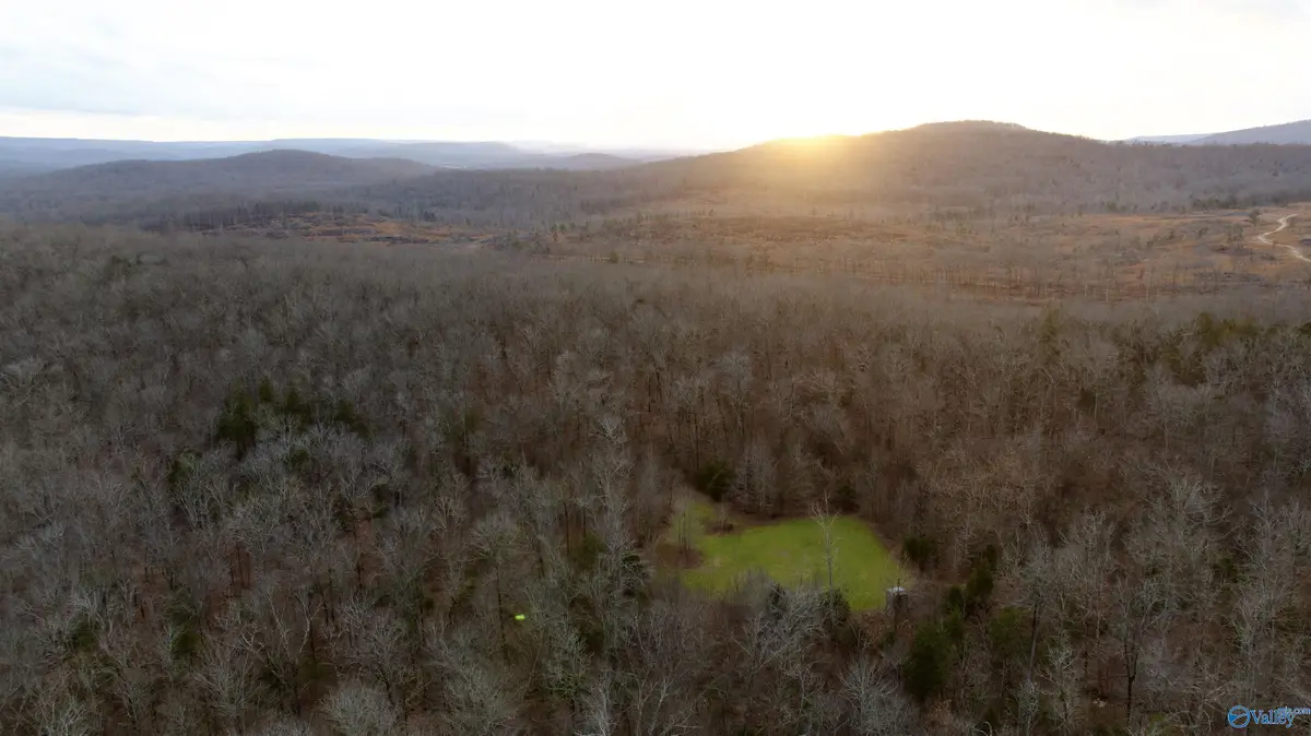 1,068 AC Highway 72, Woodville, AL 35776 - Image #1