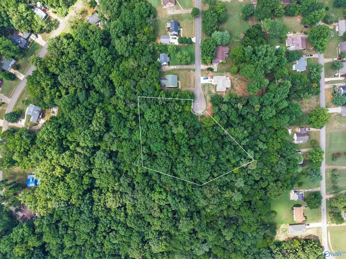 24390 Cedar Lane, Elkmont, AL 35620 - #1