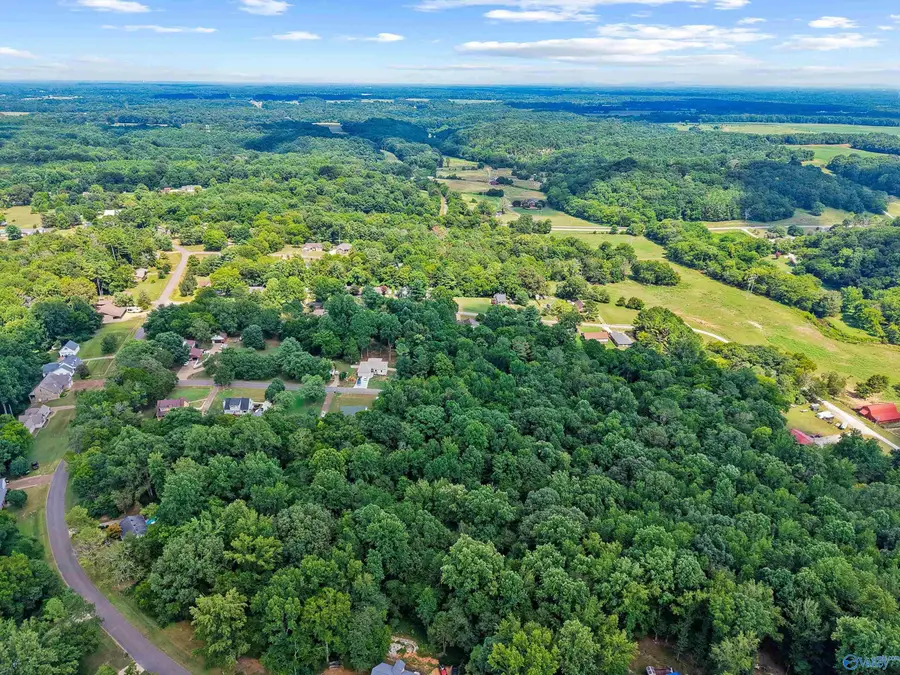 24390 Cedar Lane, Elkmont, AL 35620 - #2