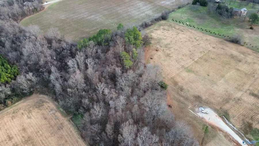 12.12 Acres Pecan Grove Way, Athens, AL 35613 - Image #3