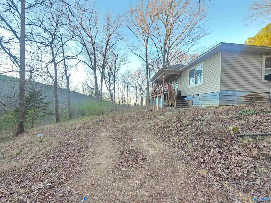 724 Old Hwy 31 S, Falkville, AL 35622 - Image #3