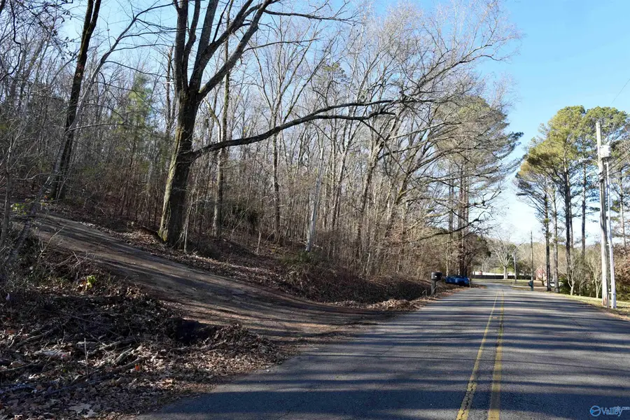 208 Hartside Road, Owens Cross Roads, AL 35763 - Image #3