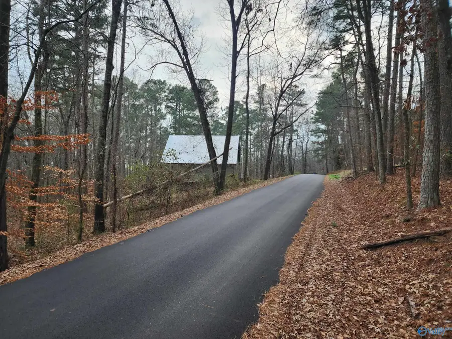 LOT 48 Holiday Shores Road, Scottsboro, AL 35769 - Image #3