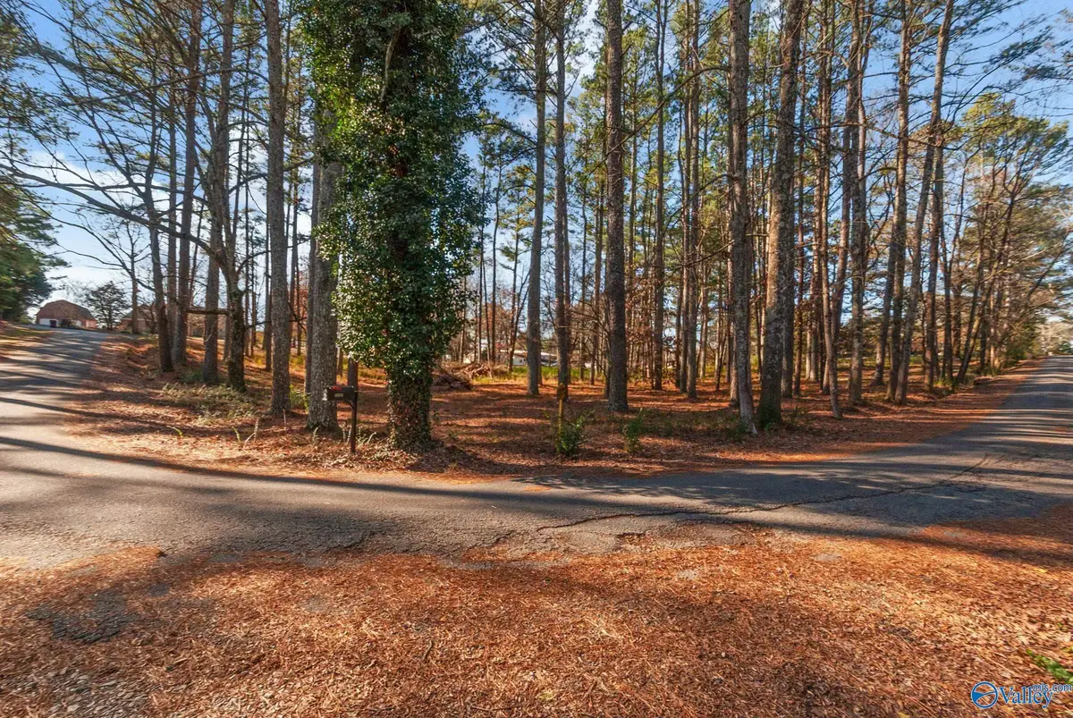 Lots 12 and 13 Denbo Circle, Harvest, AL 35749 - Image #1