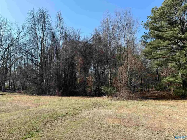 478 Mose Chapel Road, Madison, AL 35758