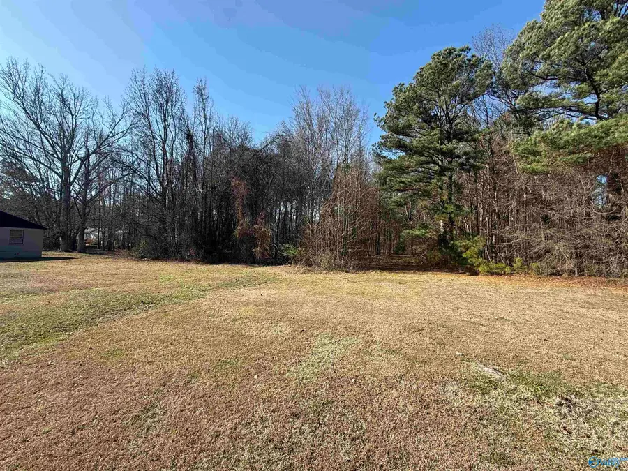 478 Mose Chapel Road, Madison, AL 35758 - Image #2