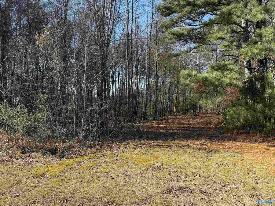 478 Mose Chapel Road, Madison, AL 35758 - Image #3