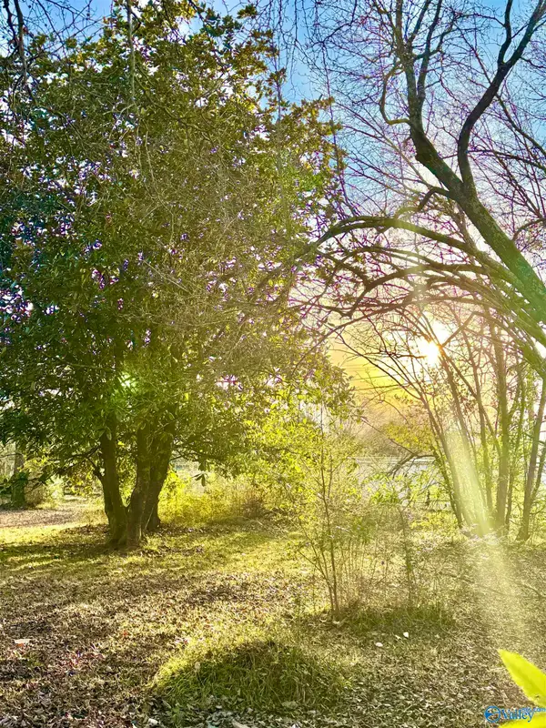 Lot 1 Corsbie Street, Hartselle, AL 35640