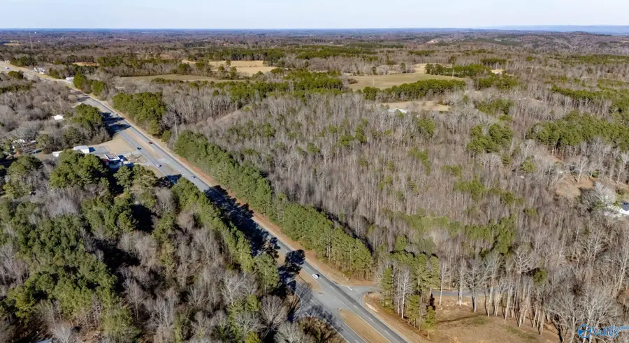 10 Acres, Attalla, AL 35954 - Image #3