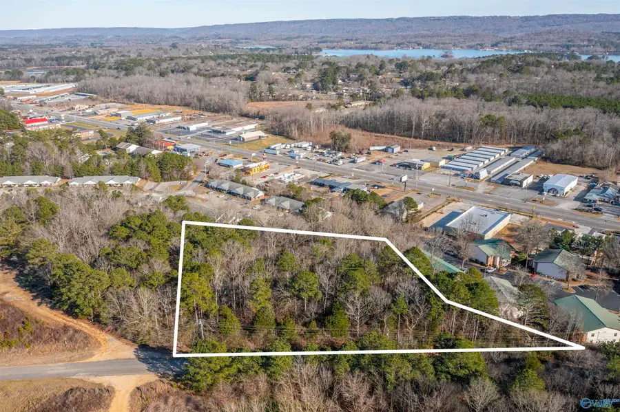 3 3/4 acres W Stewart Road, Scottsboro, AL 35769 - #2