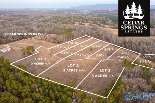 Lot 2 Cedar Springs Drive, Jacksonville, AL 36265