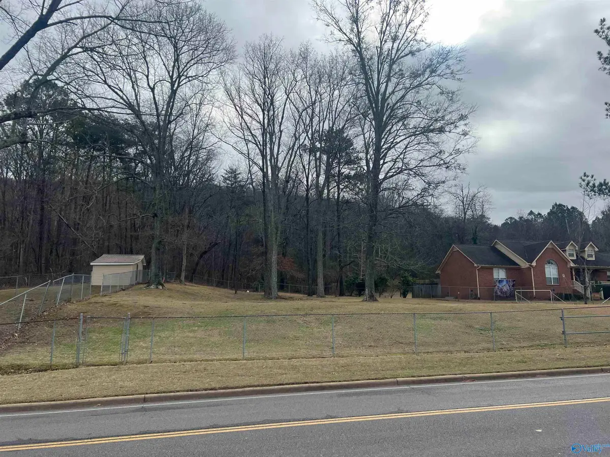 4215 Godfrey Avenue N, Fort Payne, AL 35967 - Image #1