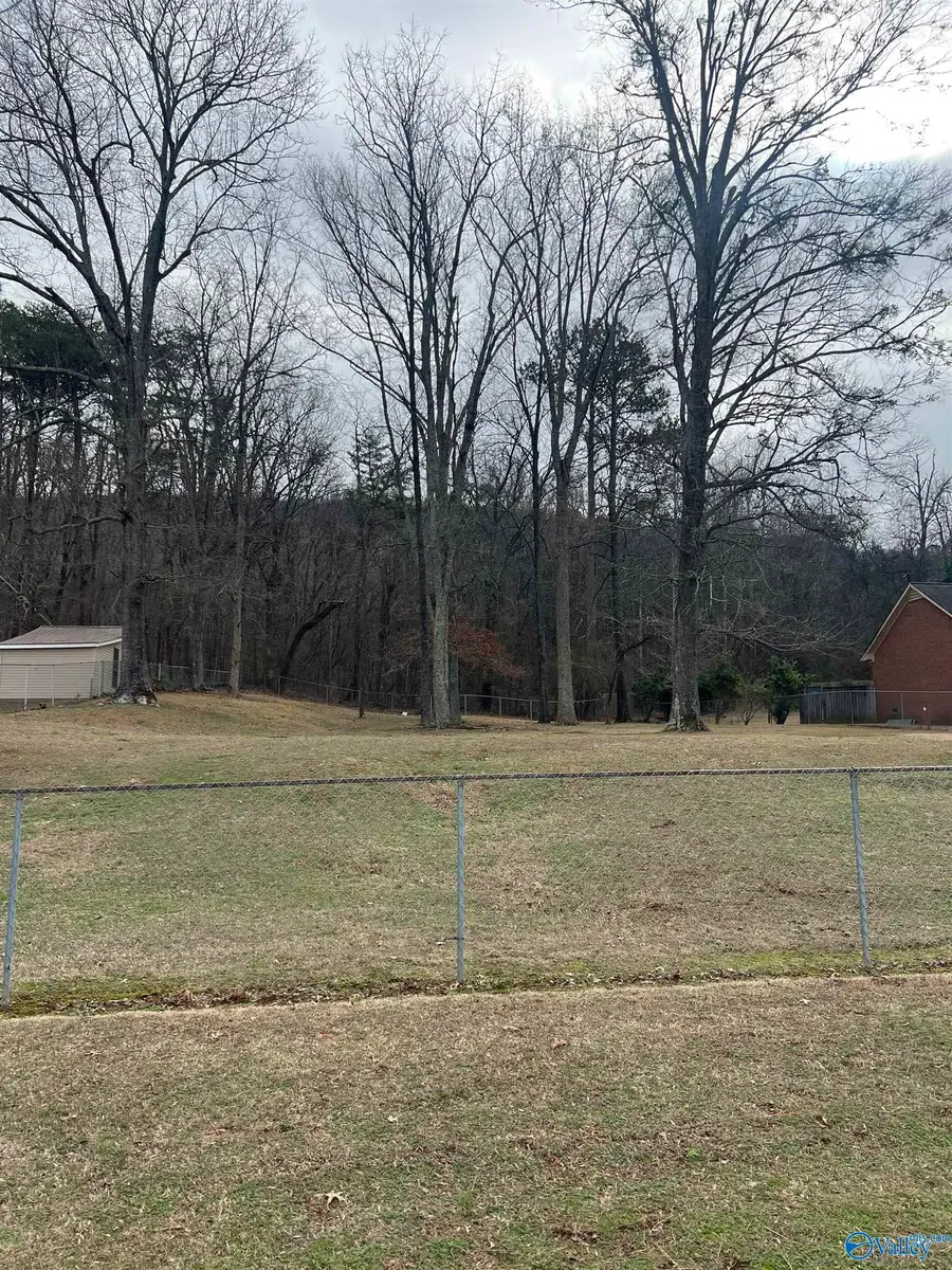 4215 Godfrey Avenue N, Fort Payne, AL 35967 - Image #2