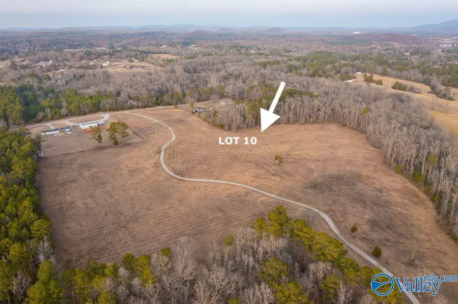 Lot 10 Cedar Springs Drive, Jacksonville, AL 36265 - #3