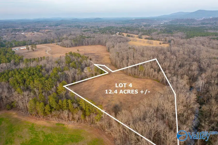 Lot 4 Cedar Springs Drive, Jacksonville, AL 36265 - #2