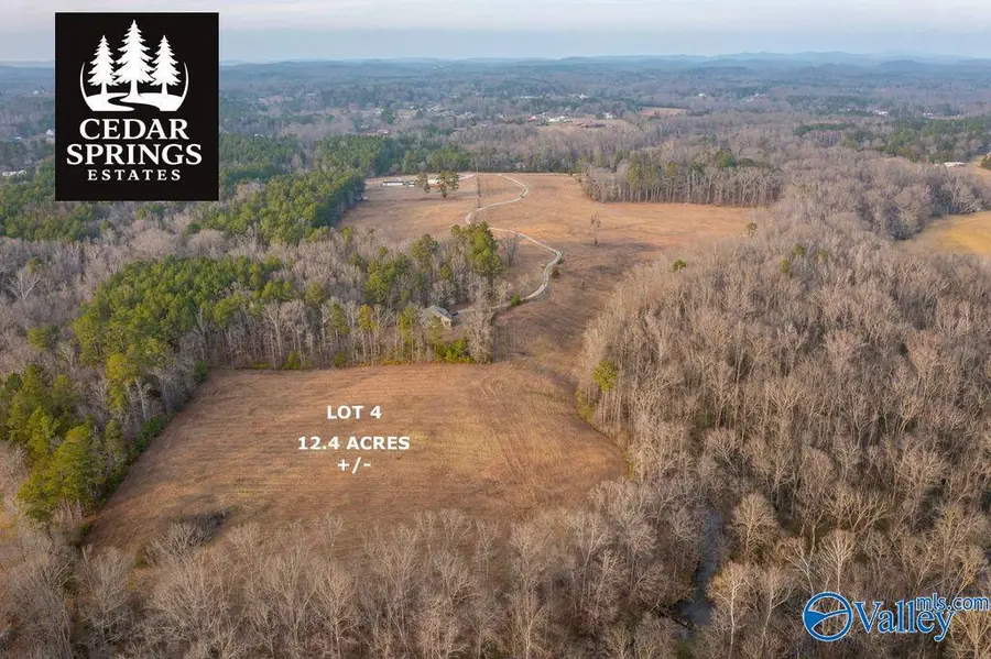Lot 4 Cedar Springs Drive, Jacksonville, AL 36265 - #3