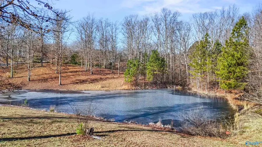 26670 Alabama Highway 79, Scottsboro, AL 35768 - Image #3