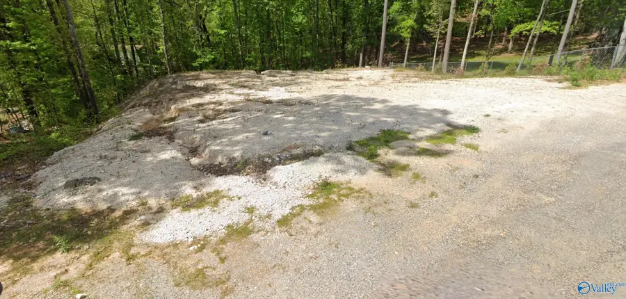 61 Hartsfield Drive, Steele, AL 35987 - #3