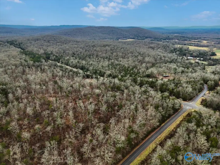 2.90 acres-Lot2 Cathedral Caverns Highway, Grant, AL 35747 - #3