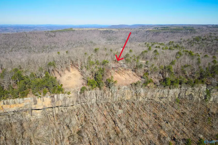 1849 West Point Road, Somerville, AL 35670 - Image #2