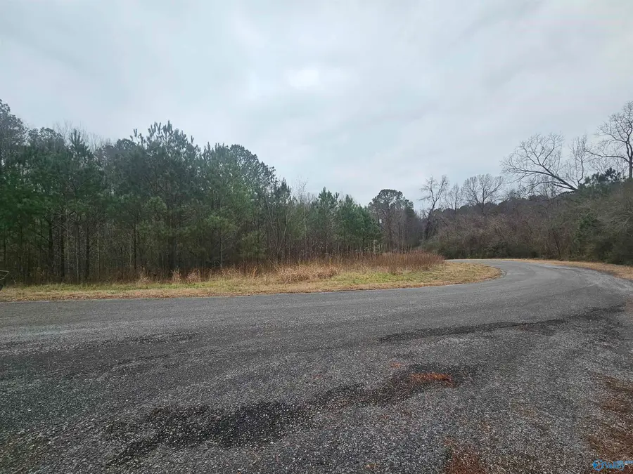 013 Toney Drive, Egypt, AL 36950 - #2