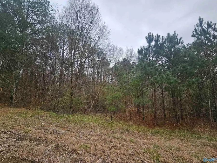 013 Toney Drive, Egypt, AL 36950 - #3