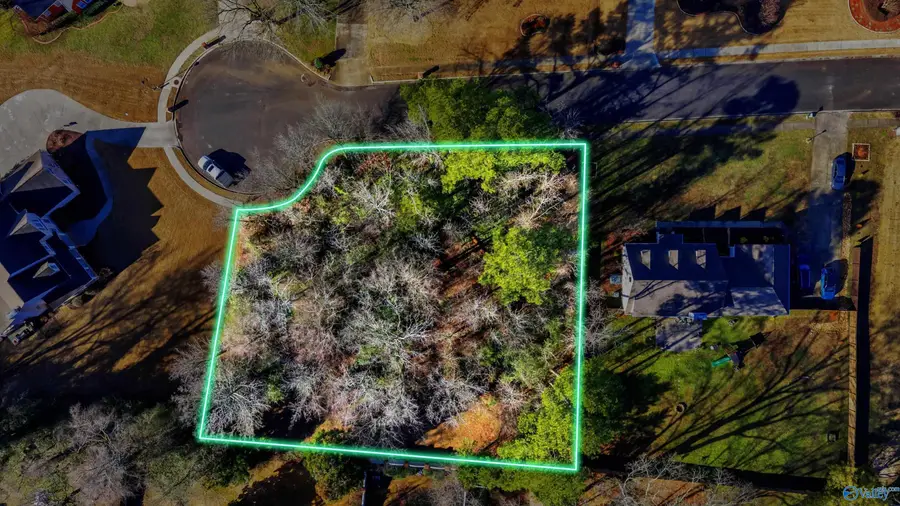 207 Willowchase Drive, Scottsboro, AL 35769 - Image #3