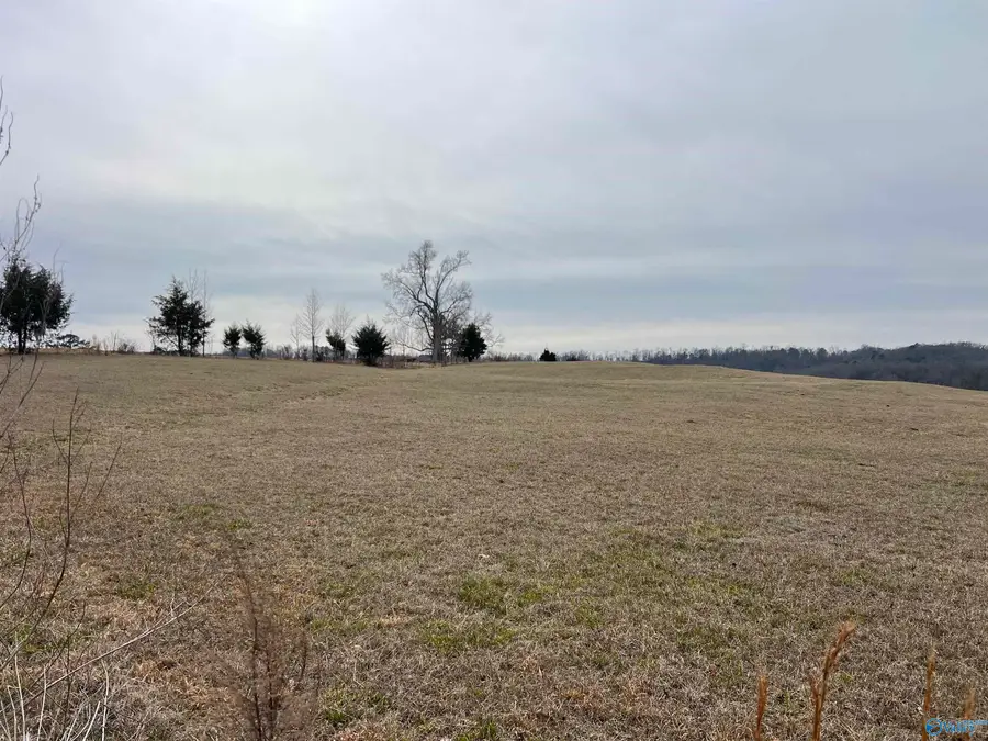 21 Highway 55 East, Falkville, AL 35622 - Image #2