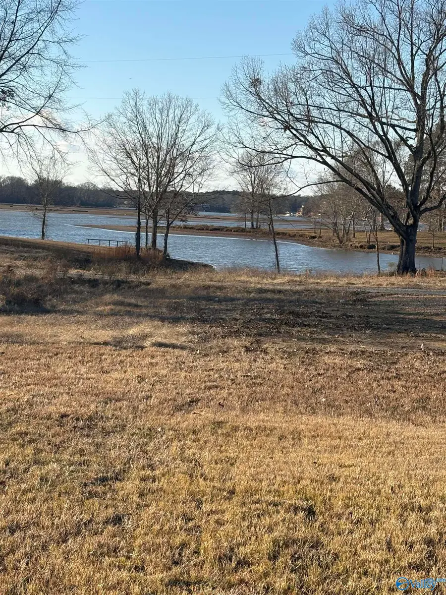 225 County Road 115 #67, Cedar Bluff, AL 35959 - #2