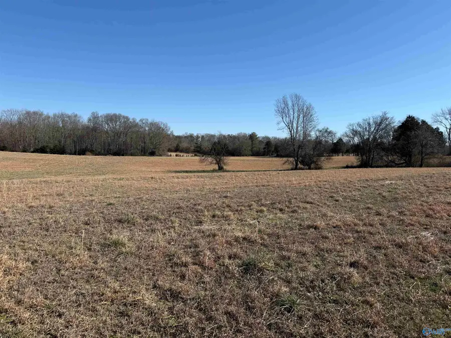 20A Bob J Road, Lester, AL 35647 - Image #2