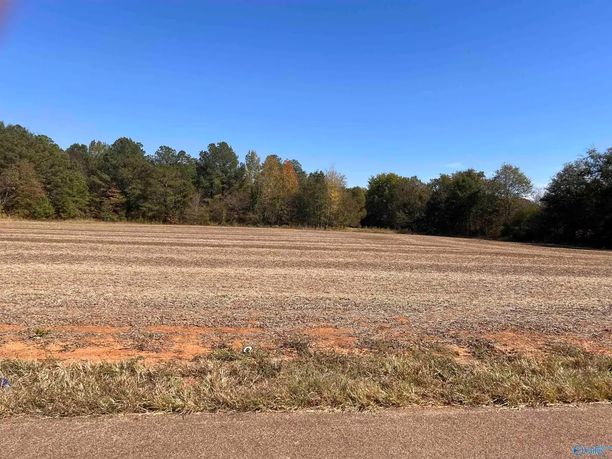 6.6 Acres County Line Road, Madison, AL 35758 - Image #1