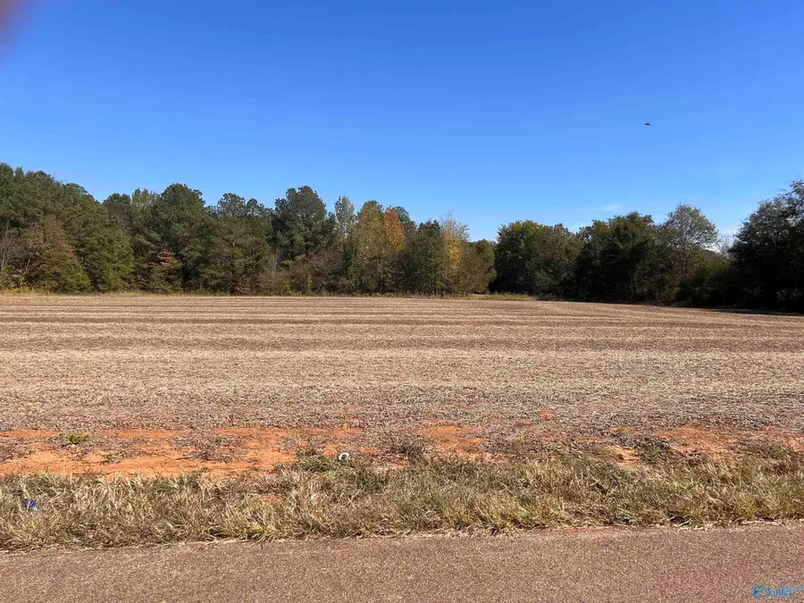 6.6 Acres County Line Road, Madison, AL 35758 - Image #3