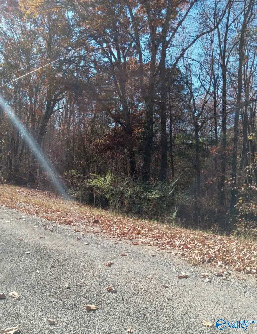 lot 30-31-32 Woodfern Drive, Scottsboro, AL 35768 - Image #2