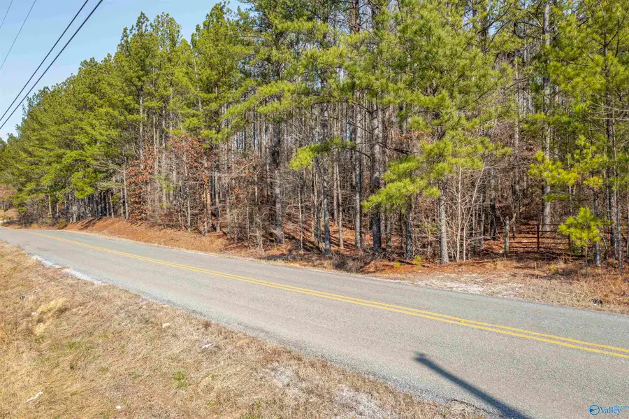 3.54 Tom Cat Road, Gadsden, AL 35903 - Image #2