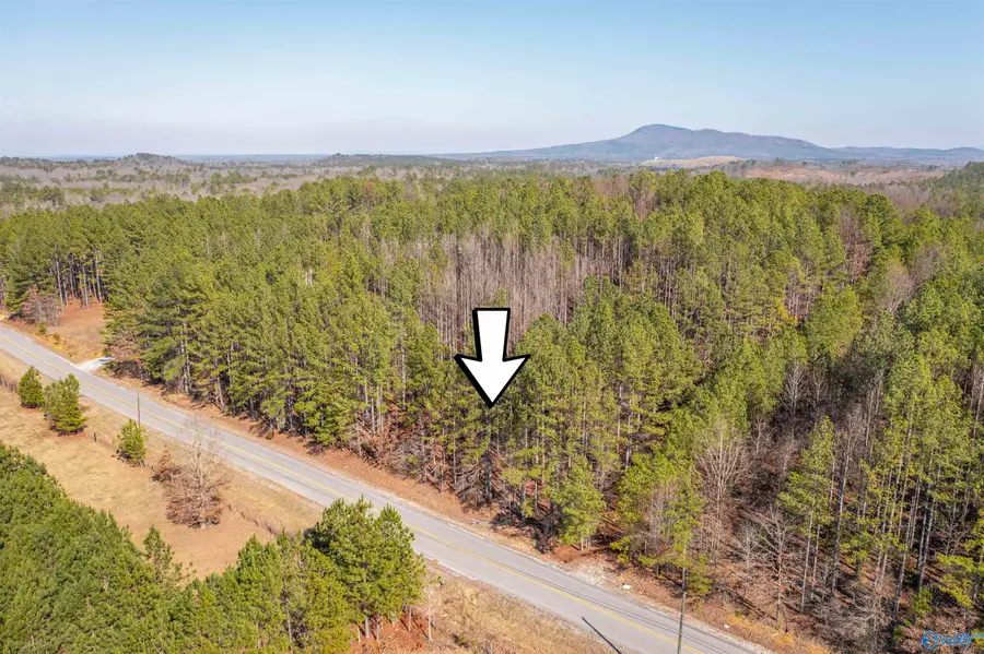 3.54 Tom Cat Road, Gadsden, AL 35903 - Image #3