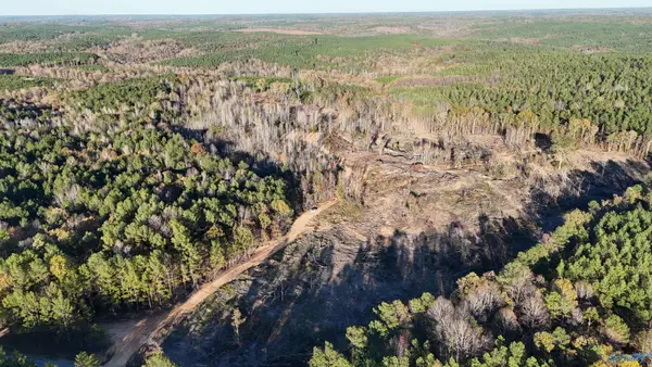 37.7 Acres Old Fred Williams Road, Hamilton, AL 35570