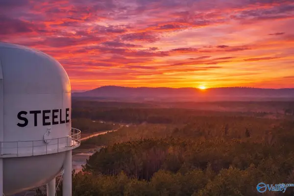 38.1 acres Steele Station Road, Steele, AL 35987