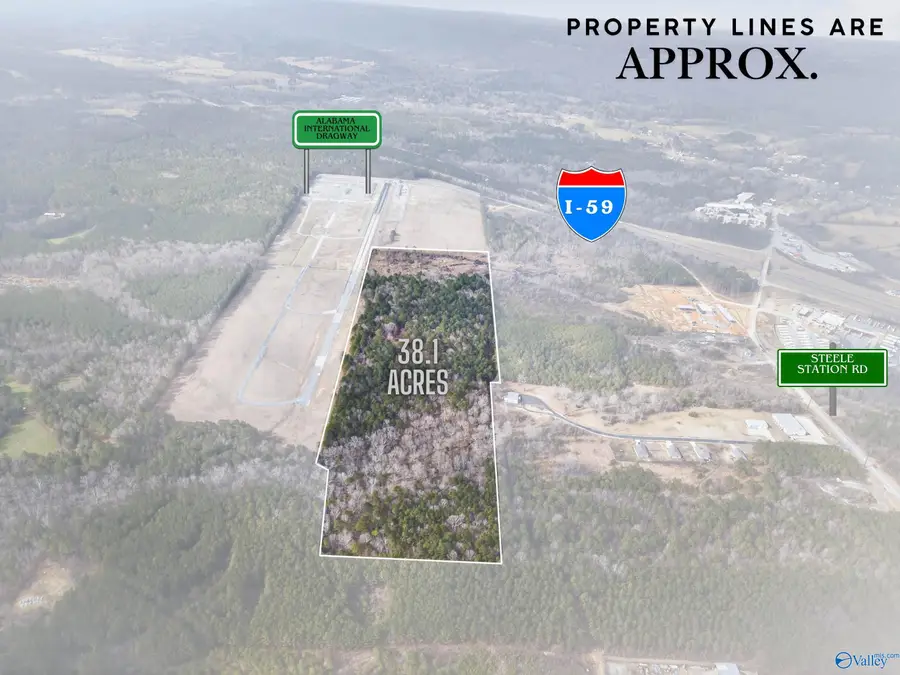 38.1 acres Steele Station Road, Steele, AL 35987 - #2