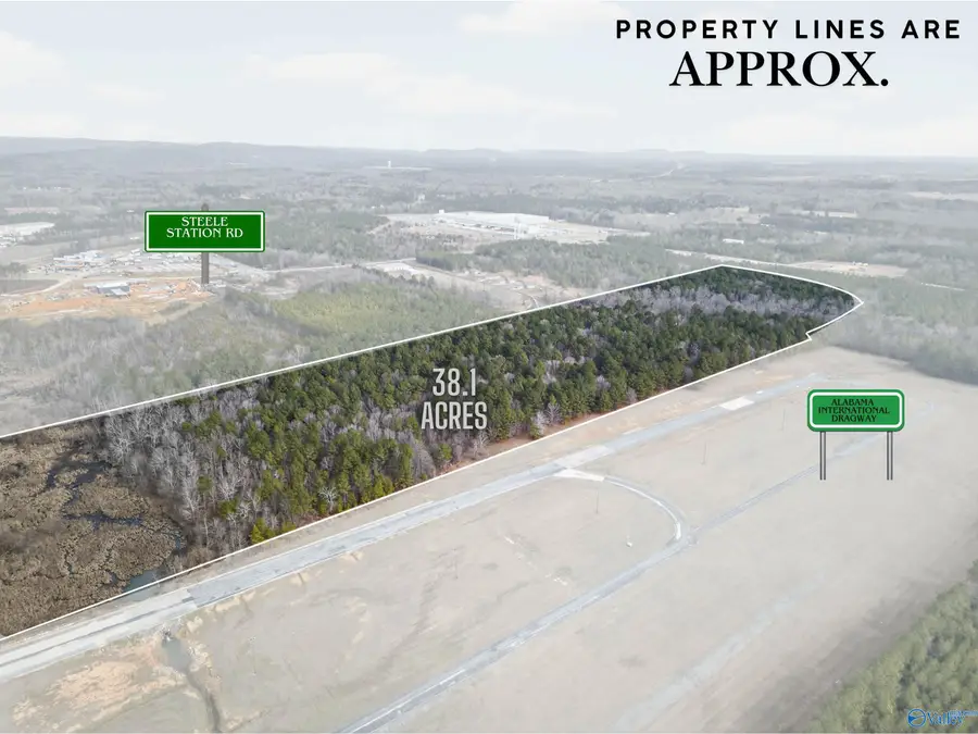 38.1 acres Steele Station Road, Steele, AL 35987 - #3