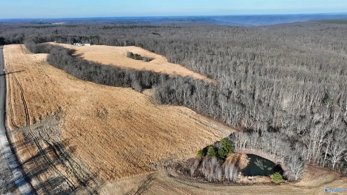 36.7 acre County Road 245, Scottsboro, AL 35768 - Image #1