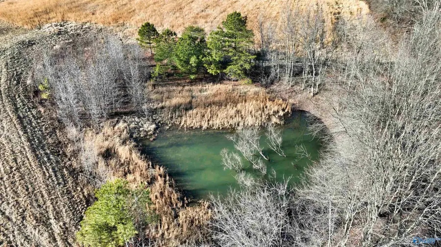 36.7 acre County Road 245, Scottsboro, AL 35768 - Image #2