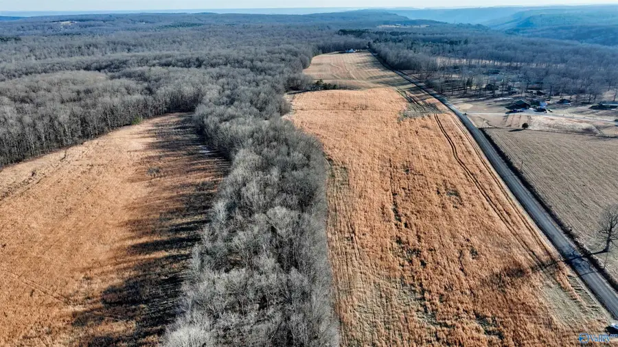 36.7 acre County Road 245, Scottsboro, AL 35768 - Image #3